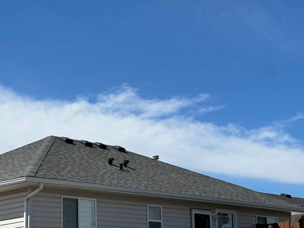 Best Chimney Flashing Repair  in Bristol, VA